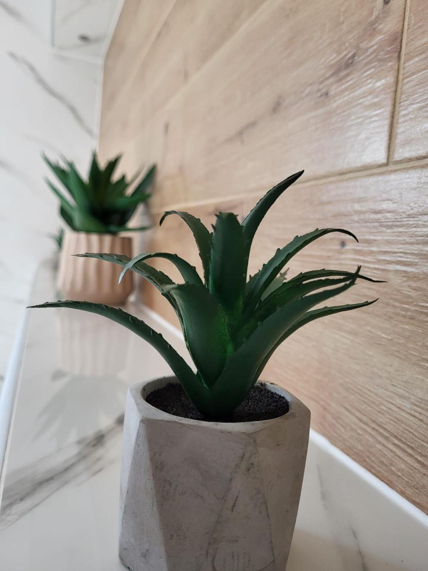 Apartment Dado 斯诺基 外观 照片